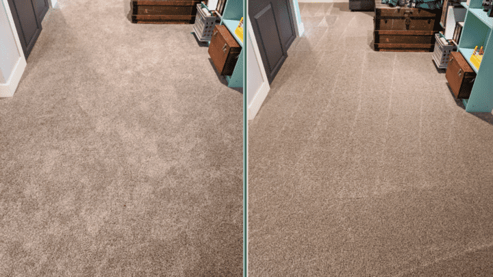 basement odor removal