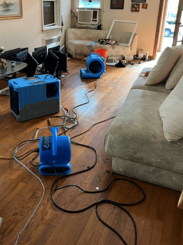 drying fans and dehumidifiers