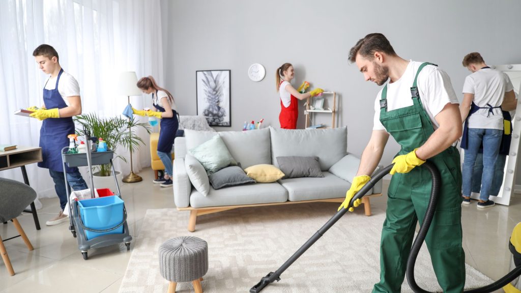 Step-by-Step Cleaning Instructions: From Vacuuming to Stain Removal